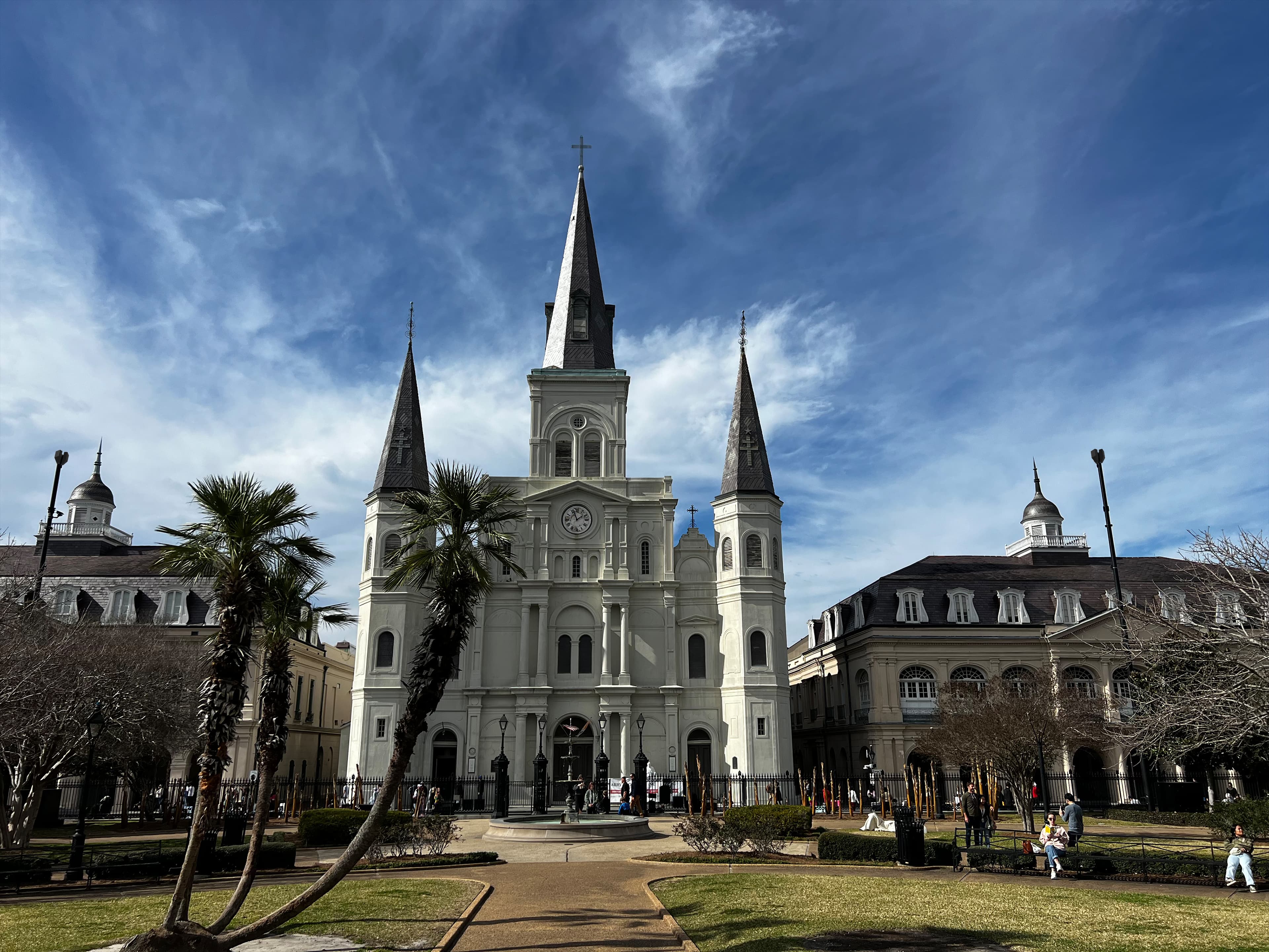 Custom telecommunications infrastructure in New Orleans historic district